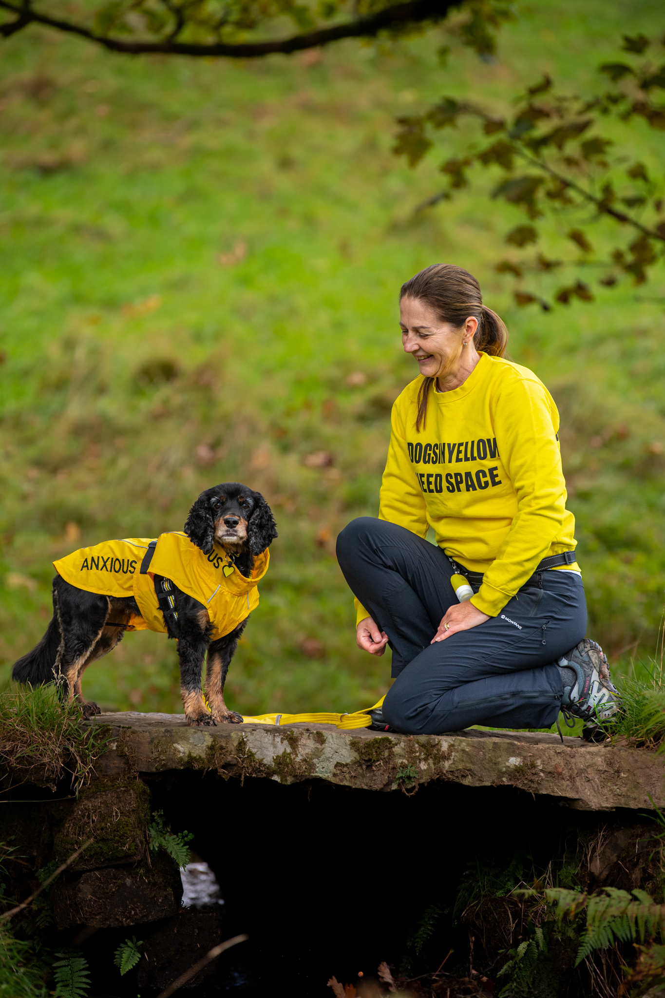 A third of pooches now have mental health challenges