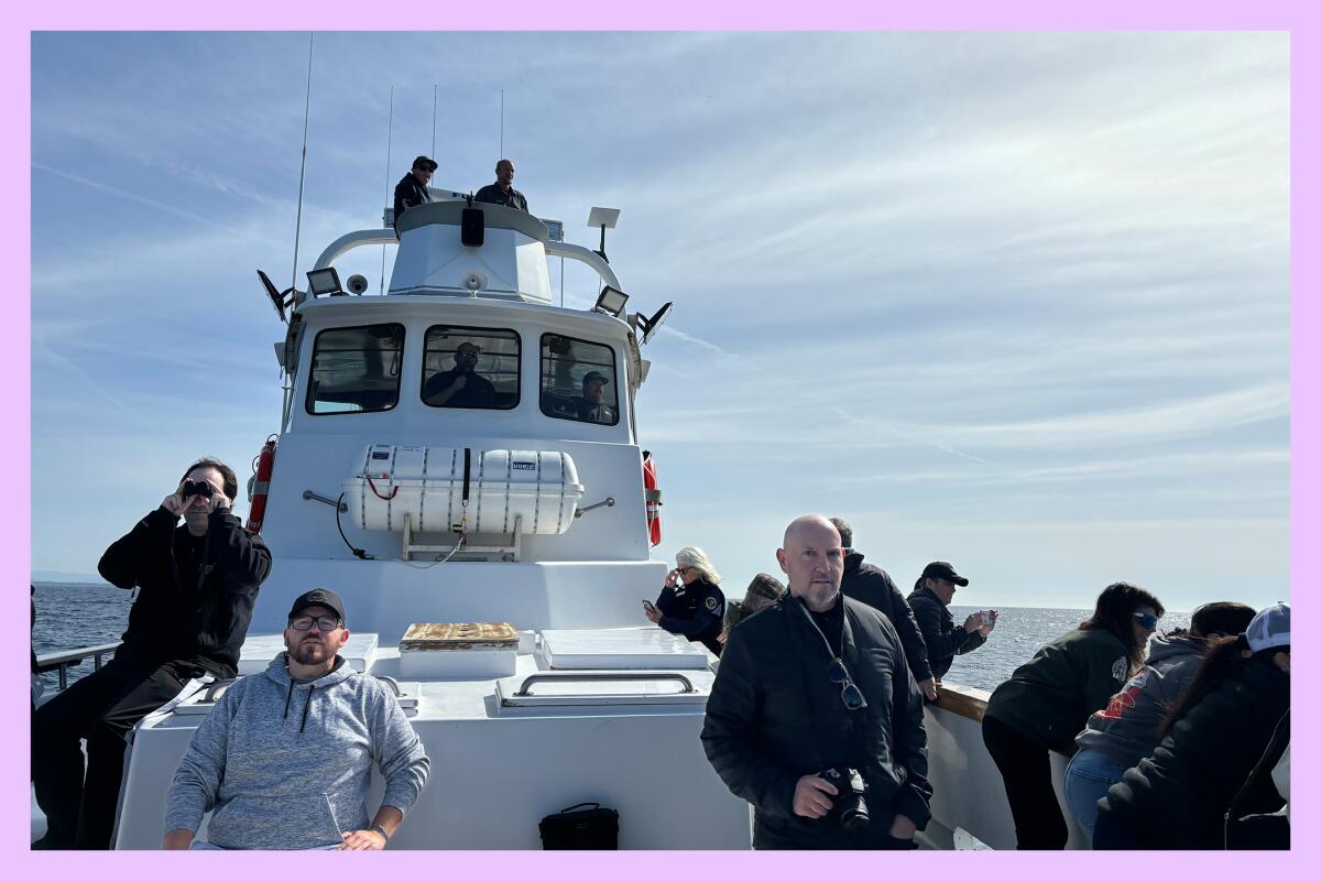 Whale watchers on a boat in the Santa Barbara Channel.