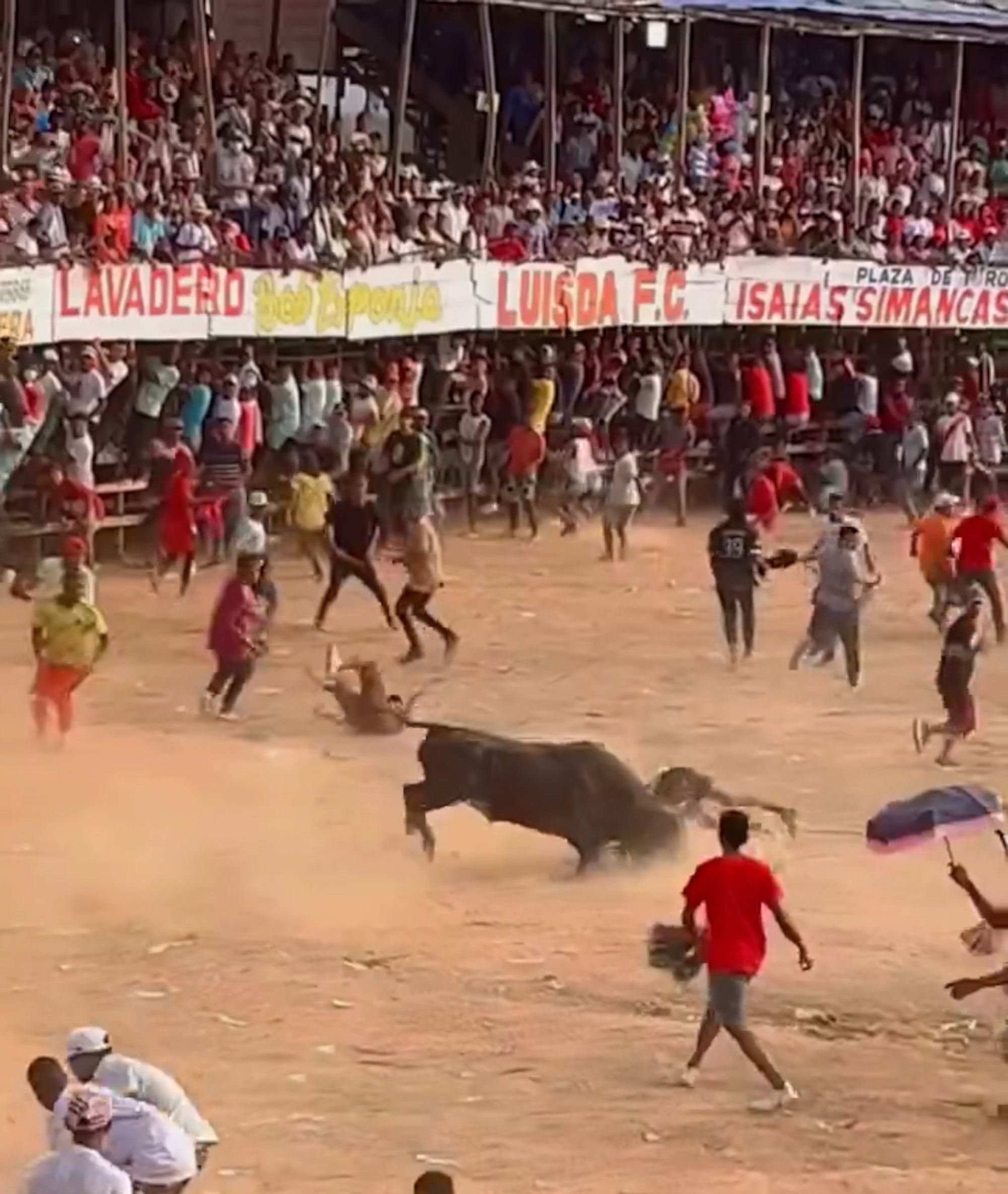 Moment the bull gored one of the spectators