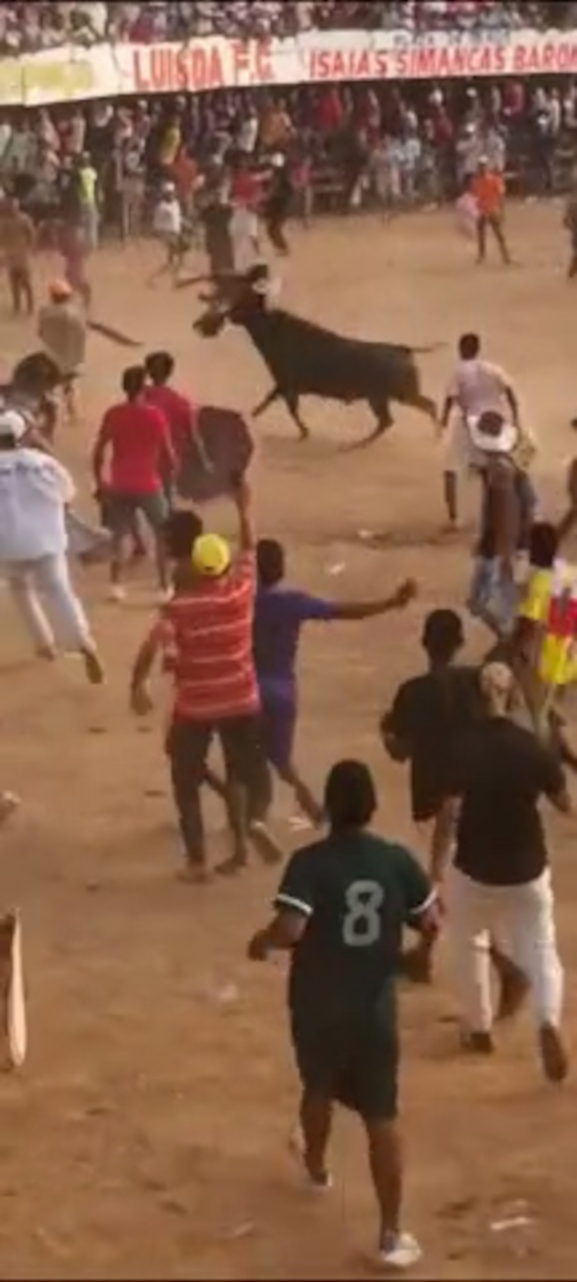 The bullfighting killed two people while eight were badly injured