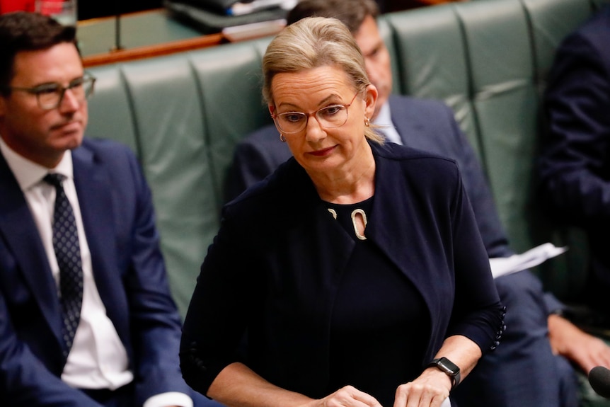 Ley stands looking serious on the floor of the lower house.