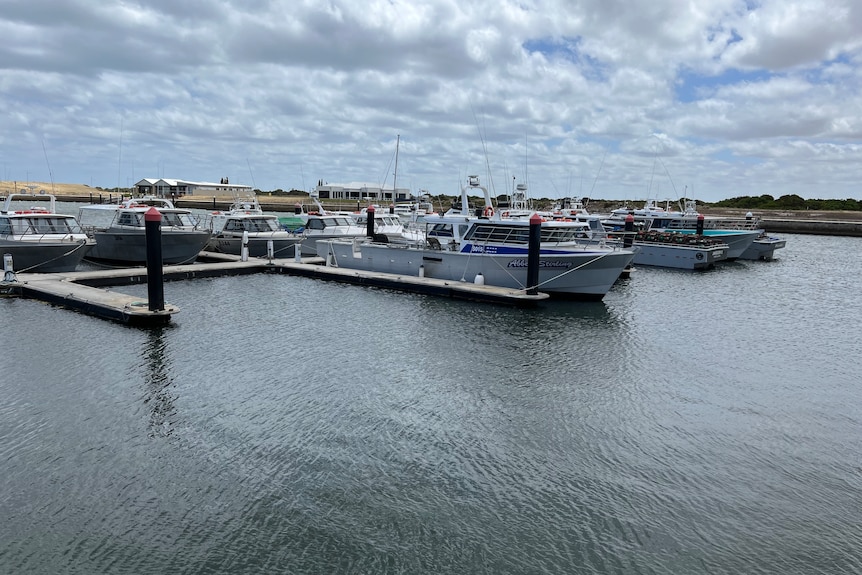 Boats in a marina with docks