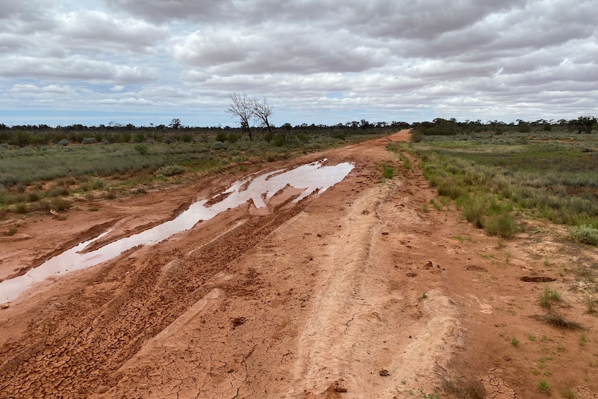 partly flooded unsealed road 