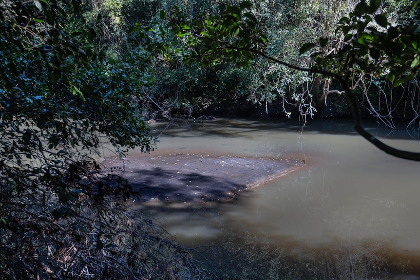 Grey creek with big muddy mass in the middle.