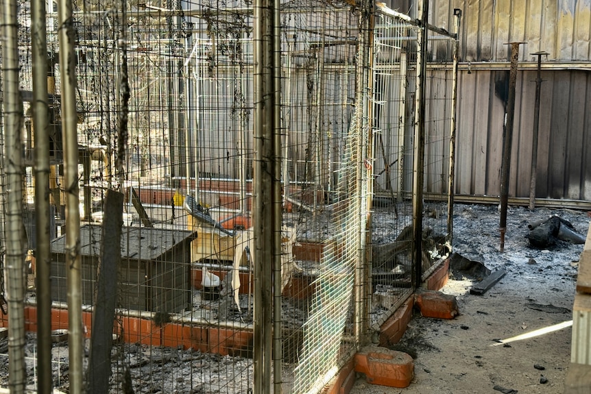 A dark and grey room lays burnt out with metal fencing and ash 