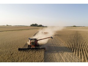 Soybeans are harvested in Wyanet, Illinois.