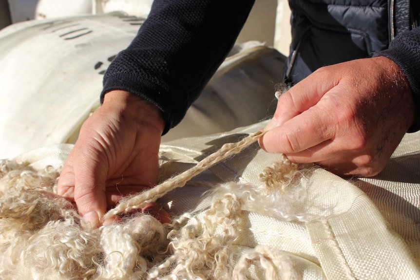 Italian buyers pay top dollar for fine Australian grown mohair.