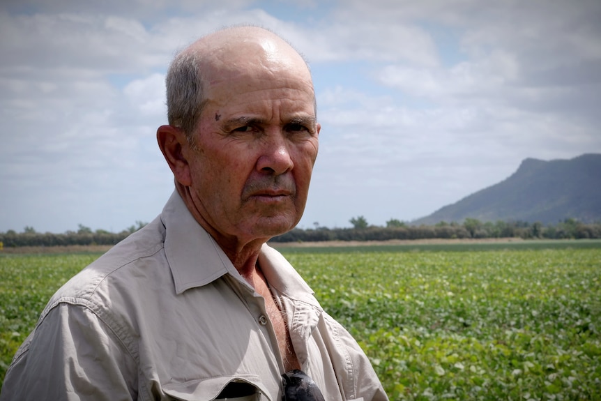 A close up shot of a balding man wearing a work shirt in front of a green crop, he has a serious expression on his face.