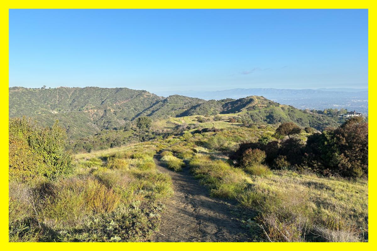 A mountaintop in Westridge-Canyonback Wilderness Park