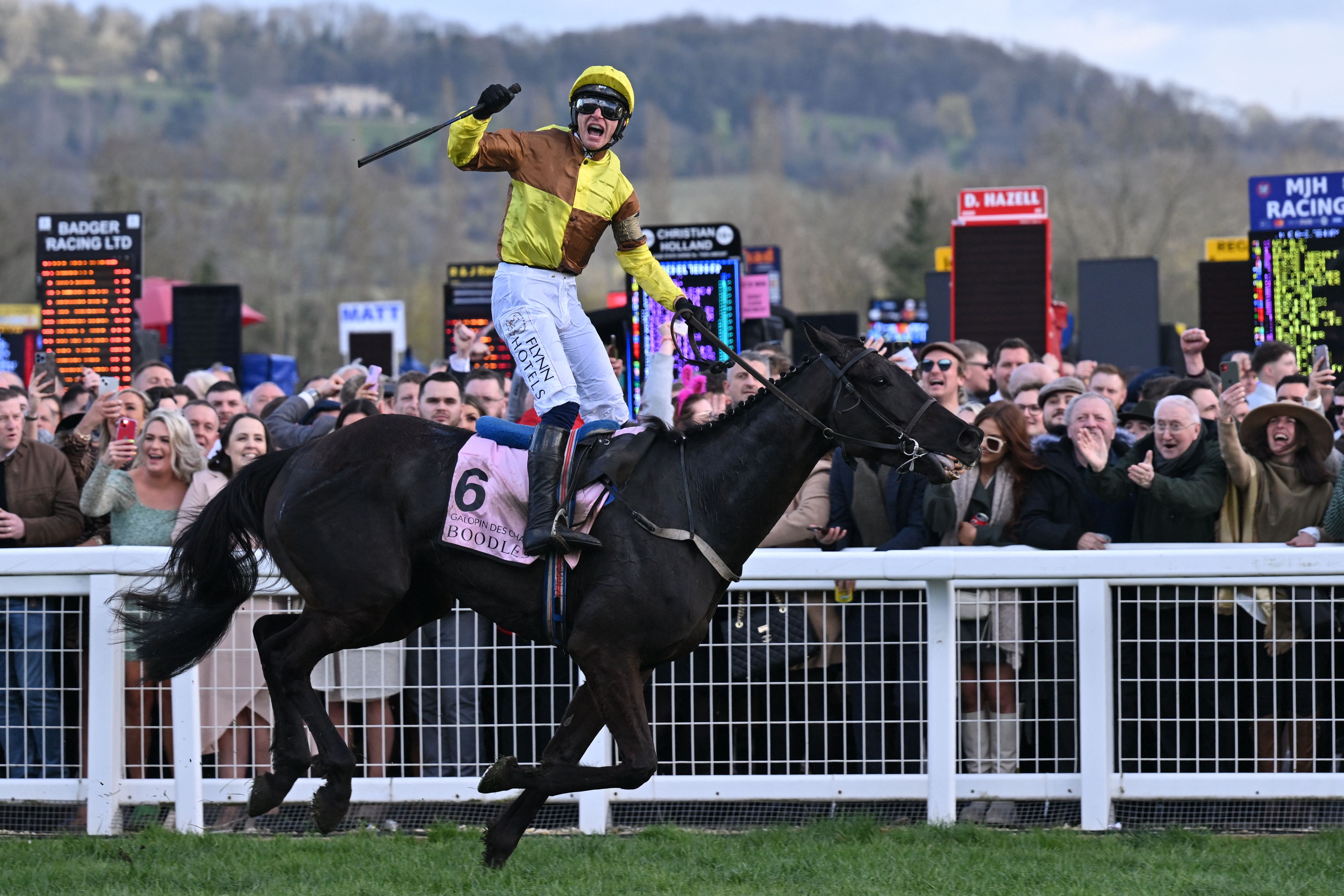 Galopin Des Champs will be one of the stars on show at Cheltenham Festival
