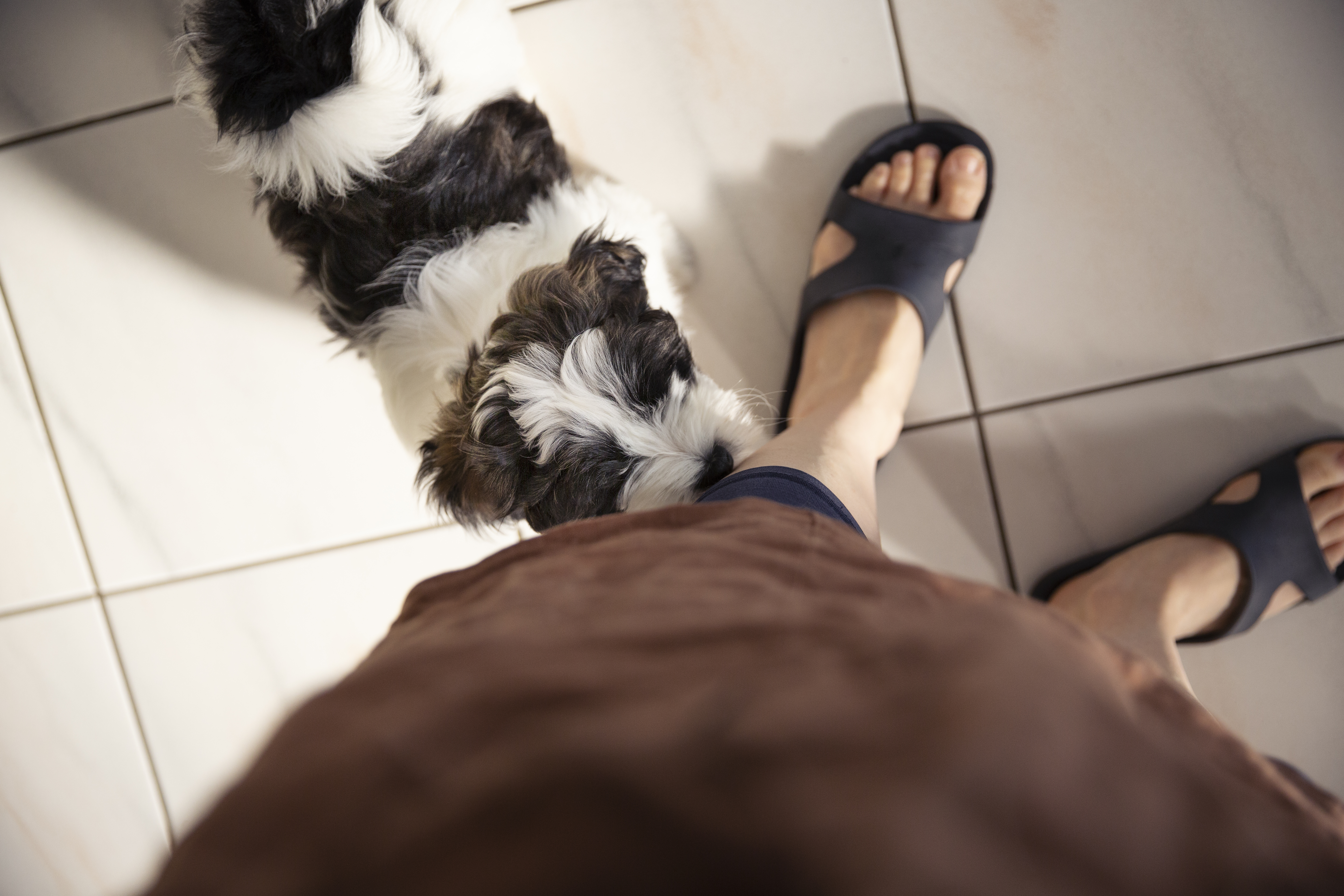 A reader's dog sniffs the feet of everyone who comes to their house