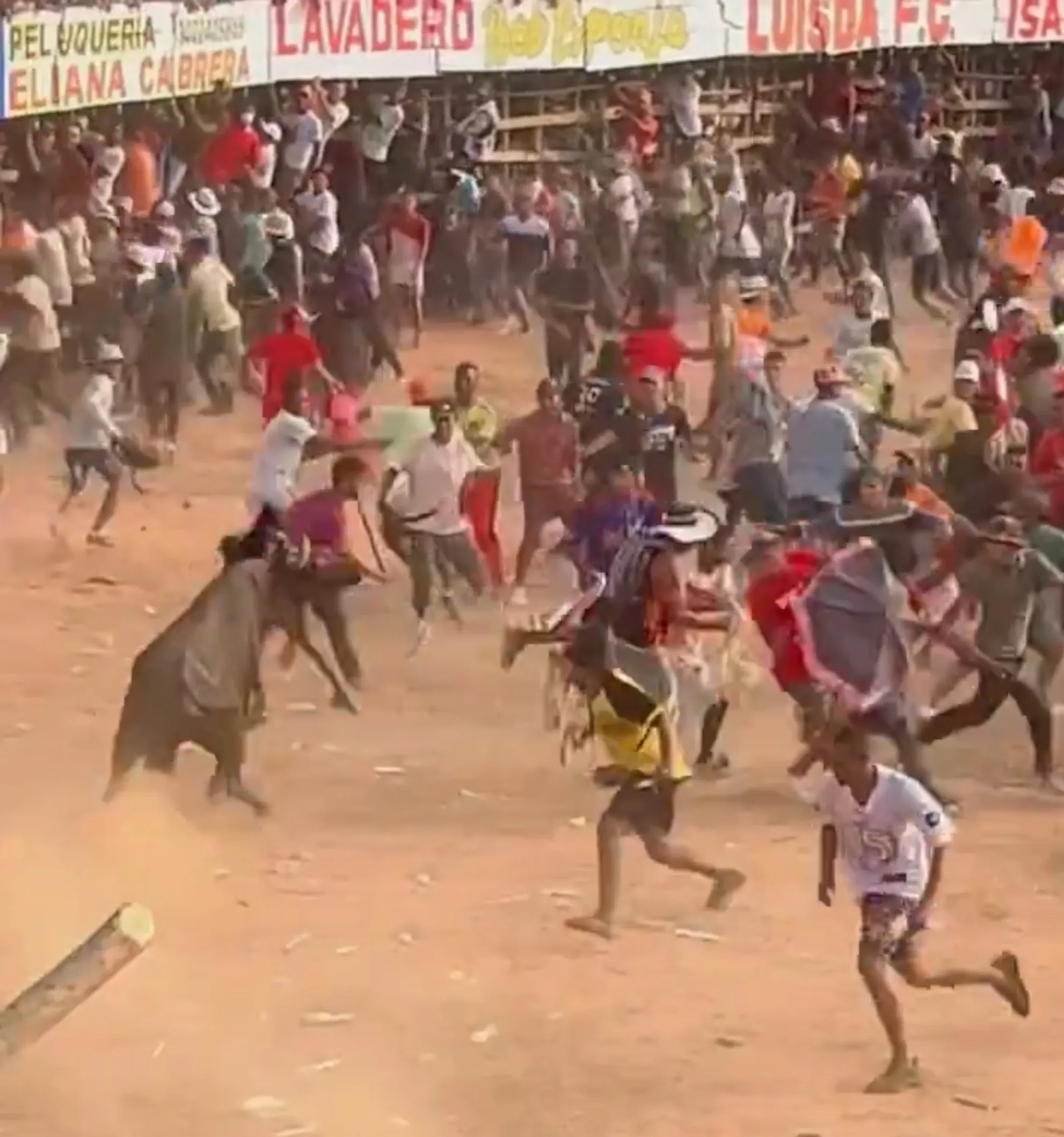 The raging beast attacked the fans inside the bullfighting arena