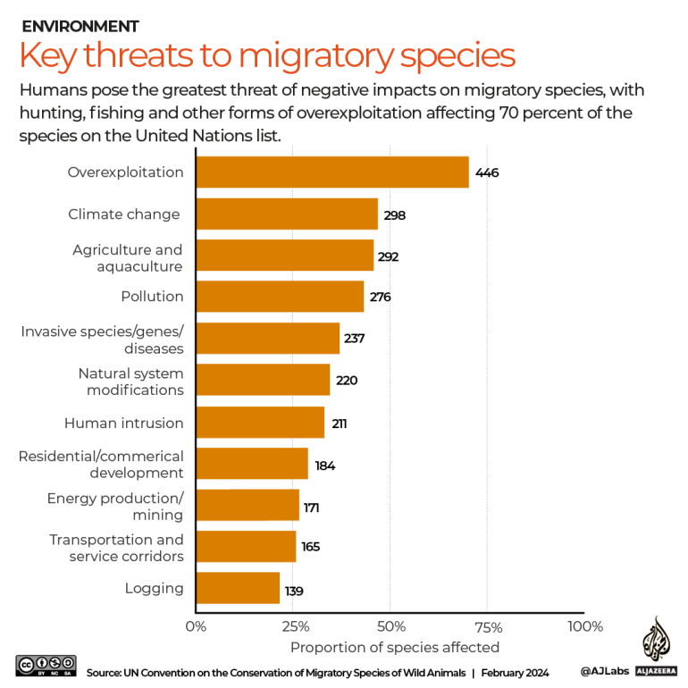 INTERACTIVE-migratory_species