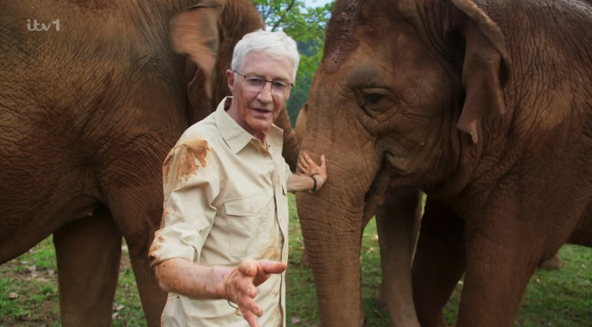 Paul O'Grady's last project finally hit the airwaves on Sunday night