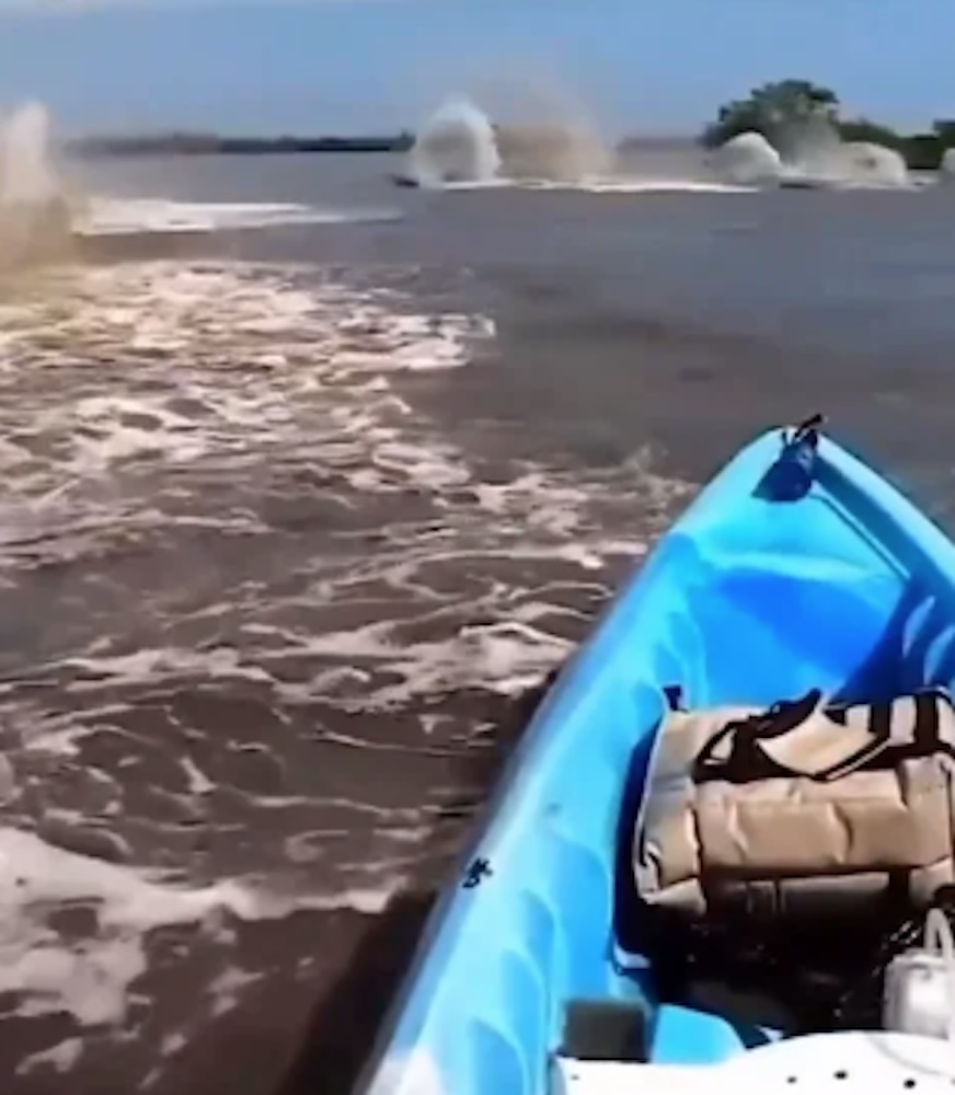 A horde of blob-like creatures appeared in the water below a kayaker