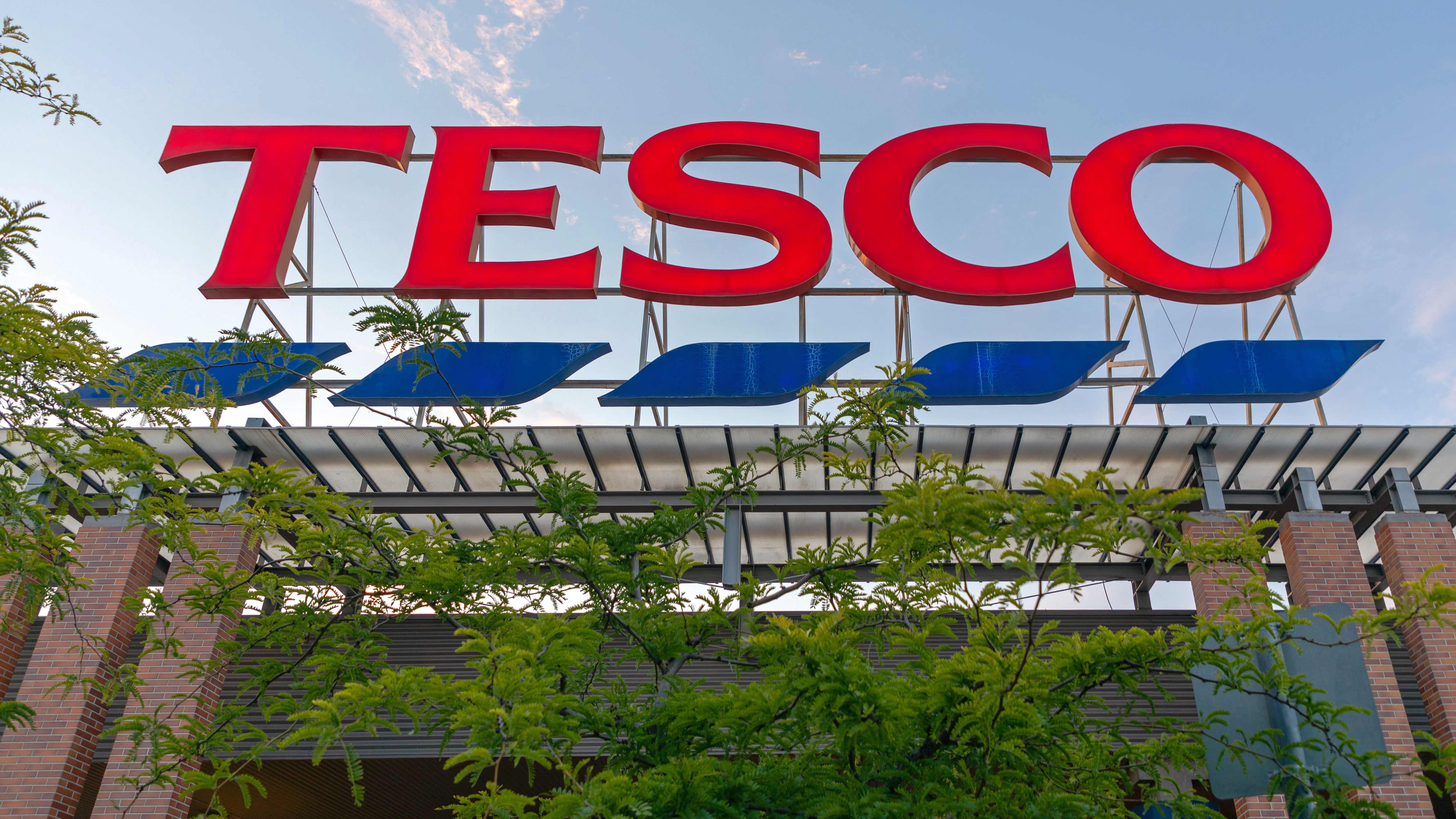 Tesco has been hit with a massive IT breakdown - forcing them to cancel online orders