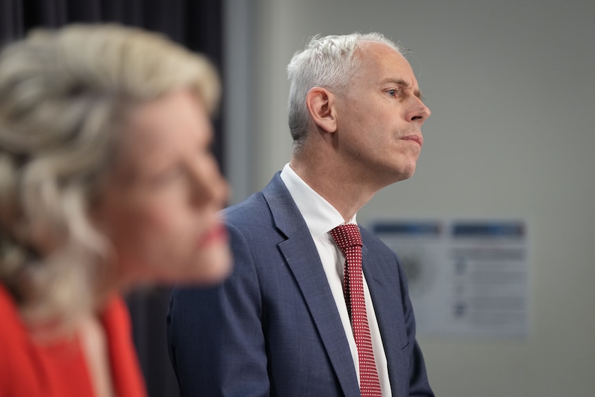 Andrew Giles at a press conference with Clare O'Neil