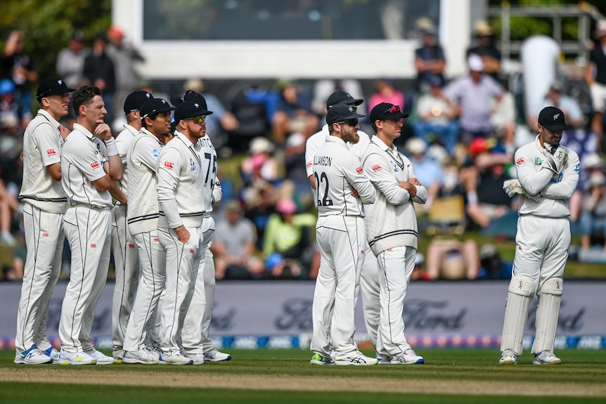 New Zealand's fielders look on