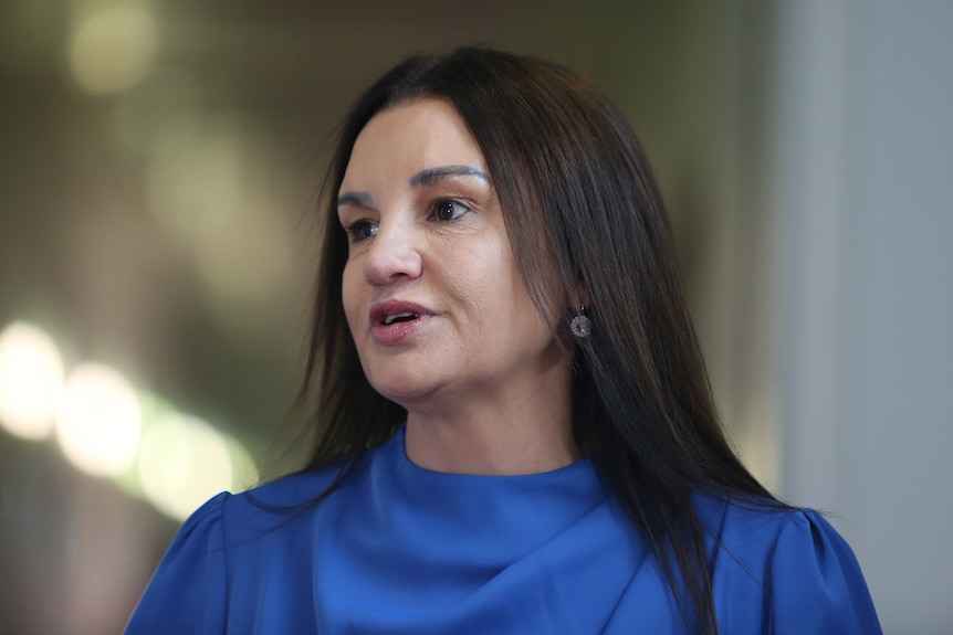 Jacqui Lambie speaks to the media