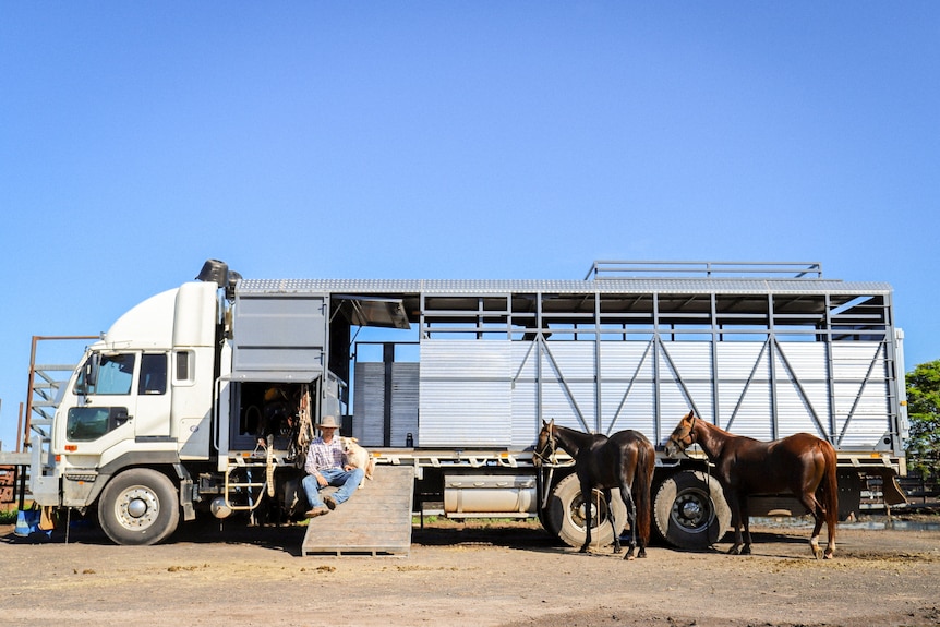 horse truck