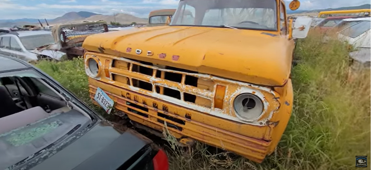 There were cars of all different colours in the scrap yard, this car is so old its number plate is hanging off