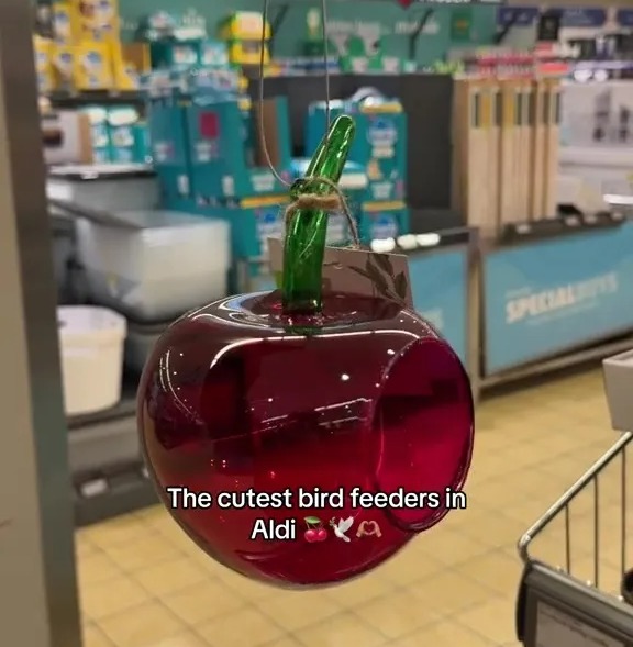 The feeders, all shaped like fruit and berries, sell for £3.99 each