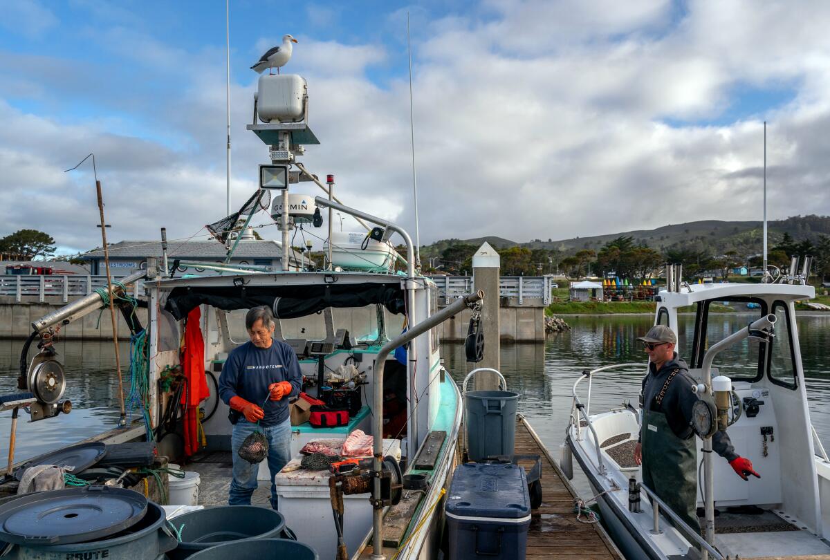 Commercial fishermen George Jue, left, and Dan St. Clair work at Pillar Point Harbor in Half Moon Bay.