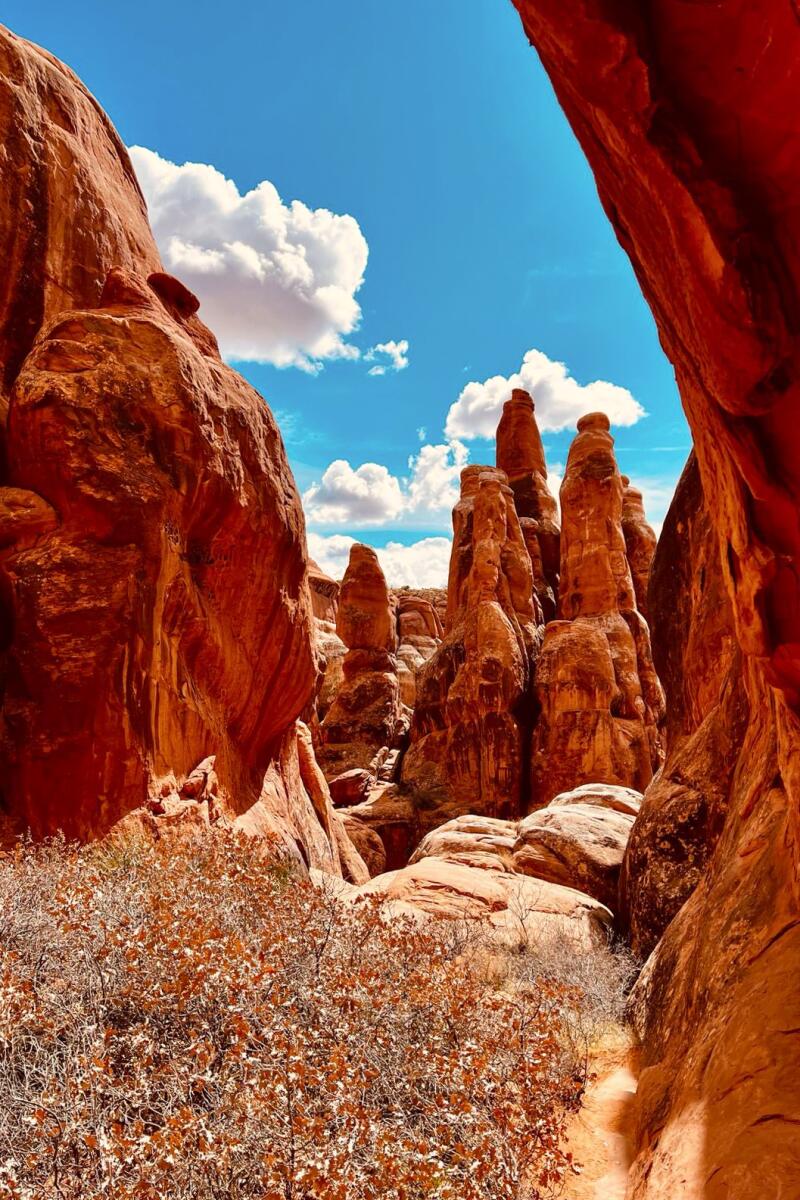 Blue skies and red rocks  in Arches National Park, Utah.