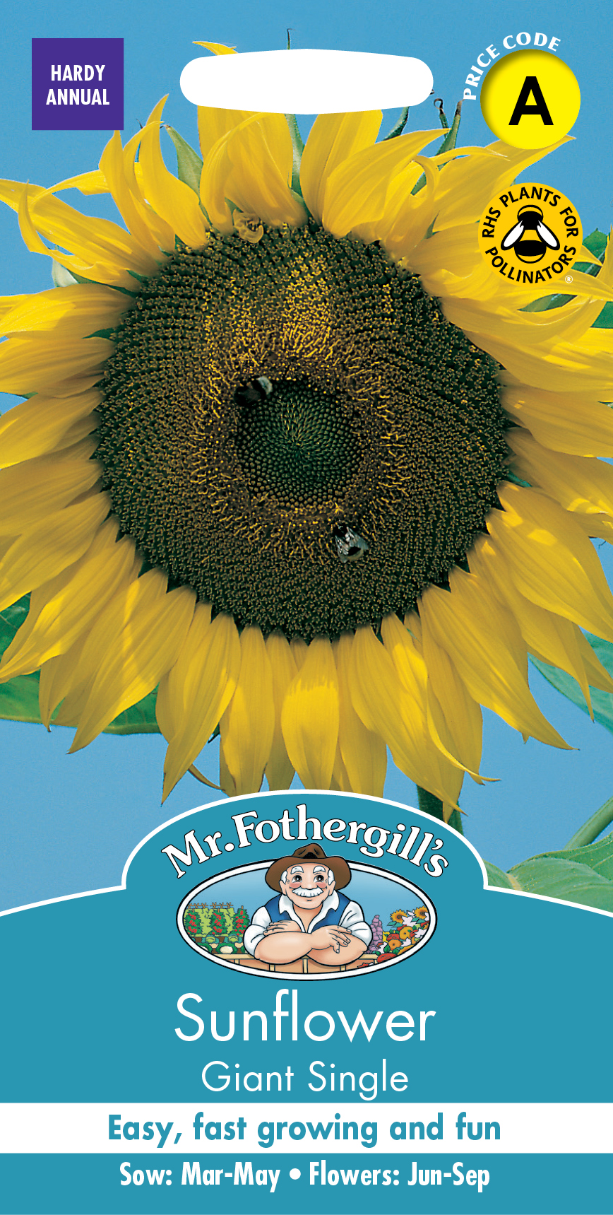 Brighten up your garden with these seeds at B&M