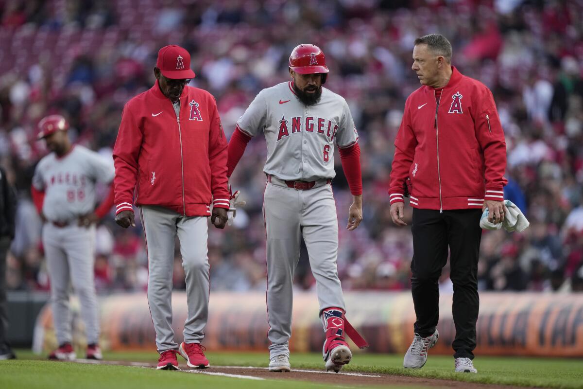 Angels third baseman Anthony Rendon walks from the field between Angels manager Ron Washington, left, and a team trainer.