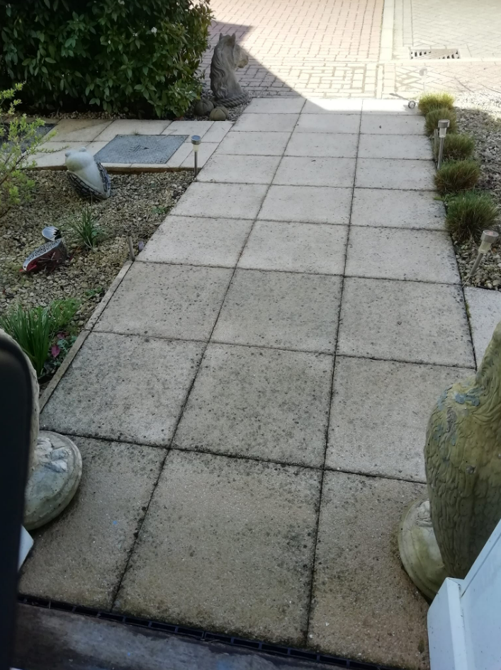 The homeowner was fed up of trying to clean her filthy patio that was covered in black spots