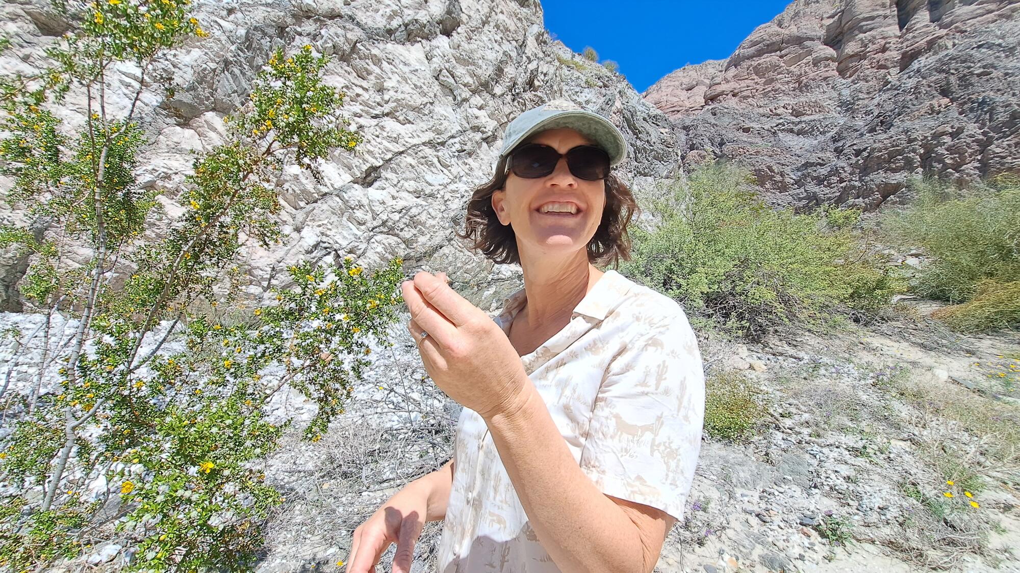 A woman in sunglasses and a ballcap takes in the scent of a creosote bush