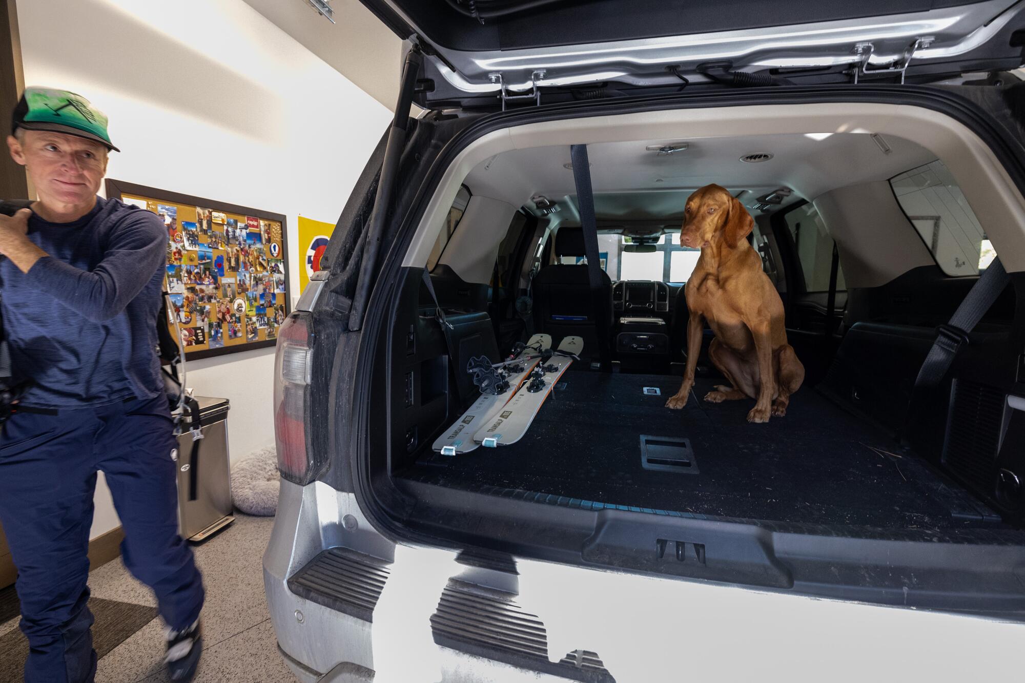 A man loads skis into the back of an SUV, next to his muscular golden-brown dog.