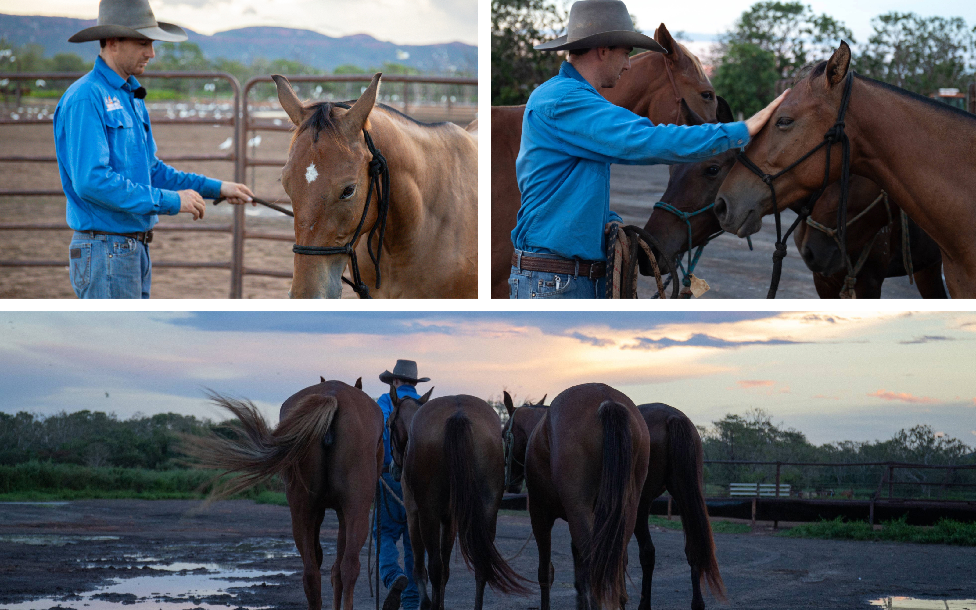 A man with horses.