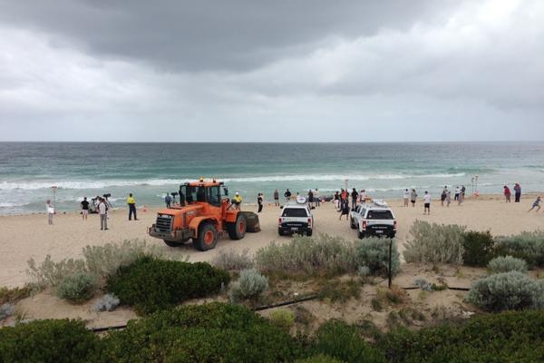 Authorities are hoping to use heavy machinery to move the dead whale off the beach.