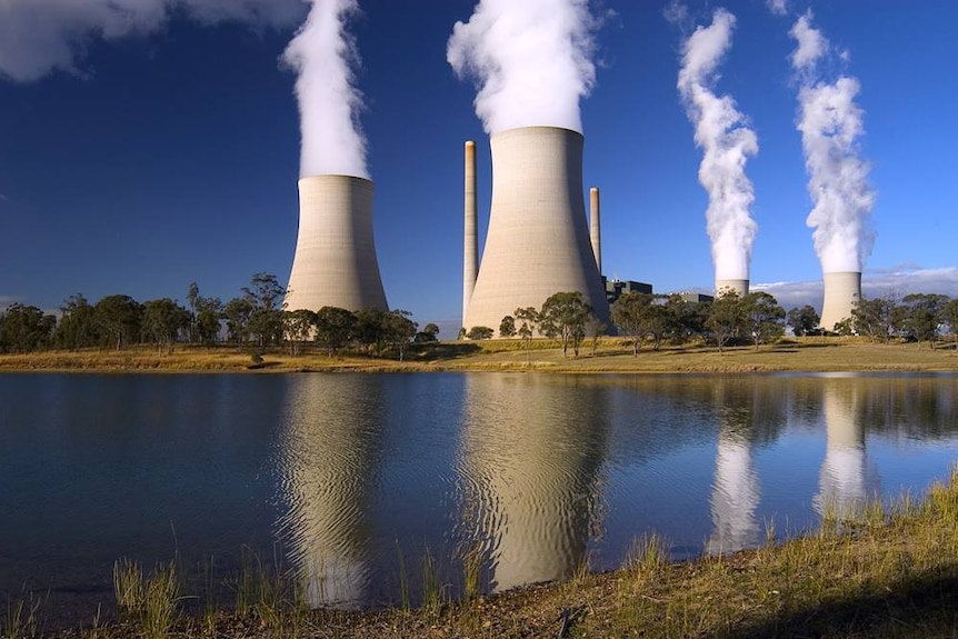 The smoke stacks of the Bayswater power station.