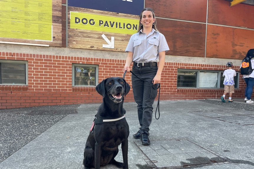 Black dog with female owner on grass