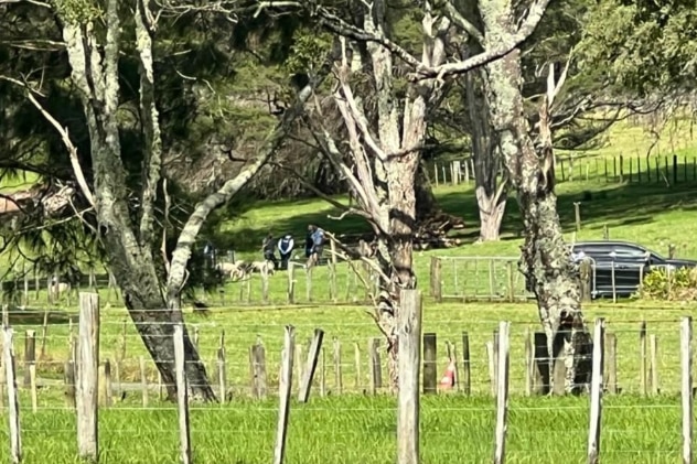 Several police officers stand in a paddock.