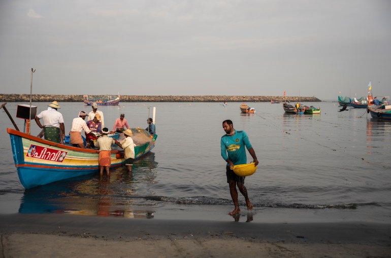 A fisherman walks to the shore carrying a basket of fish at a fishing harbor on the Arabian Sea coast in Kochi, Kerala state, India, Monday, Sept.20, 2021. (AP Photo/R S Iyer)