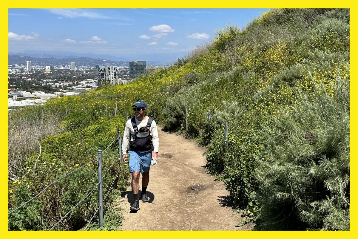 A man hikes a trail carrying his newborn in a BabyBjörn