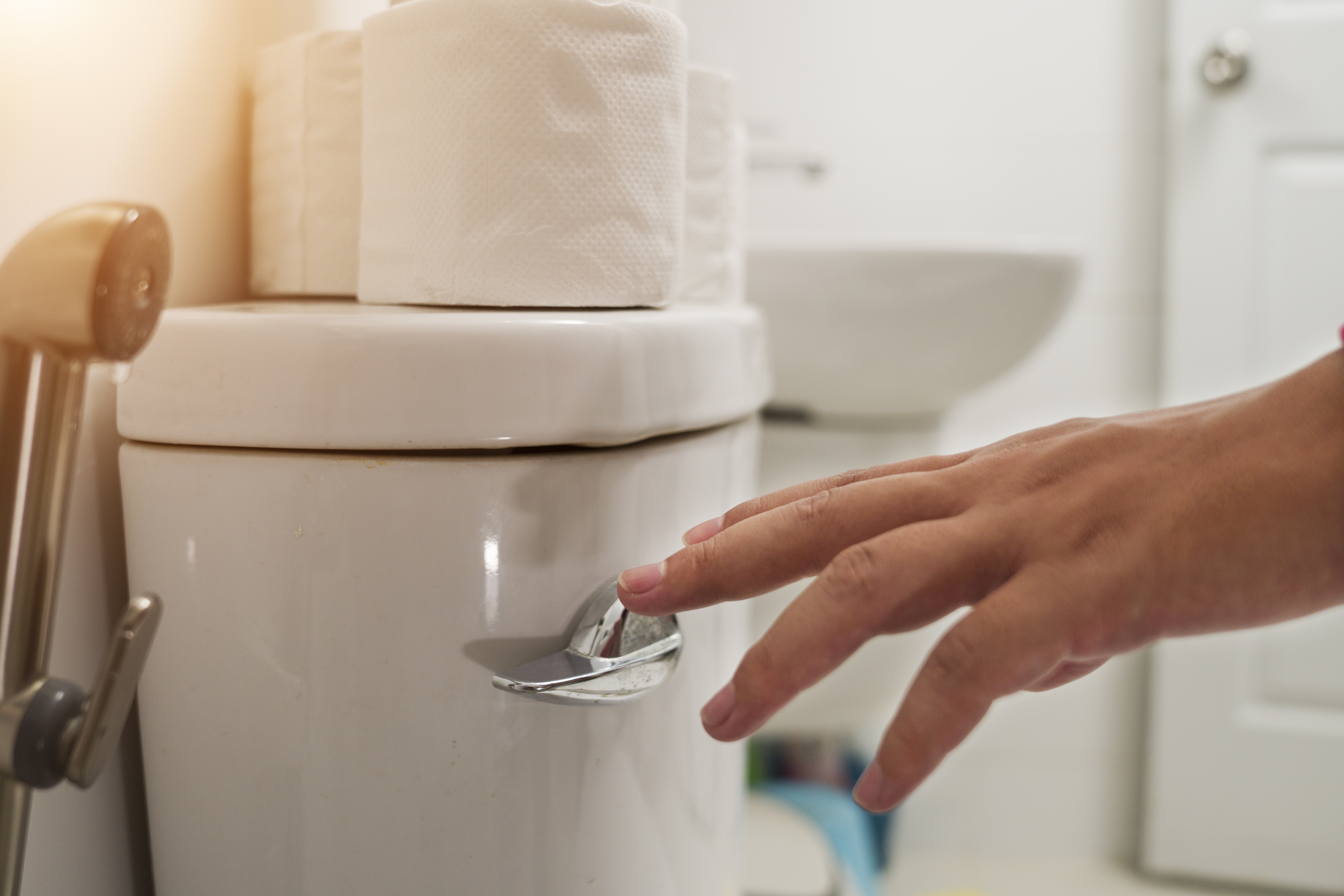 Having a dual flush option can help you to save up to £500 on your bills