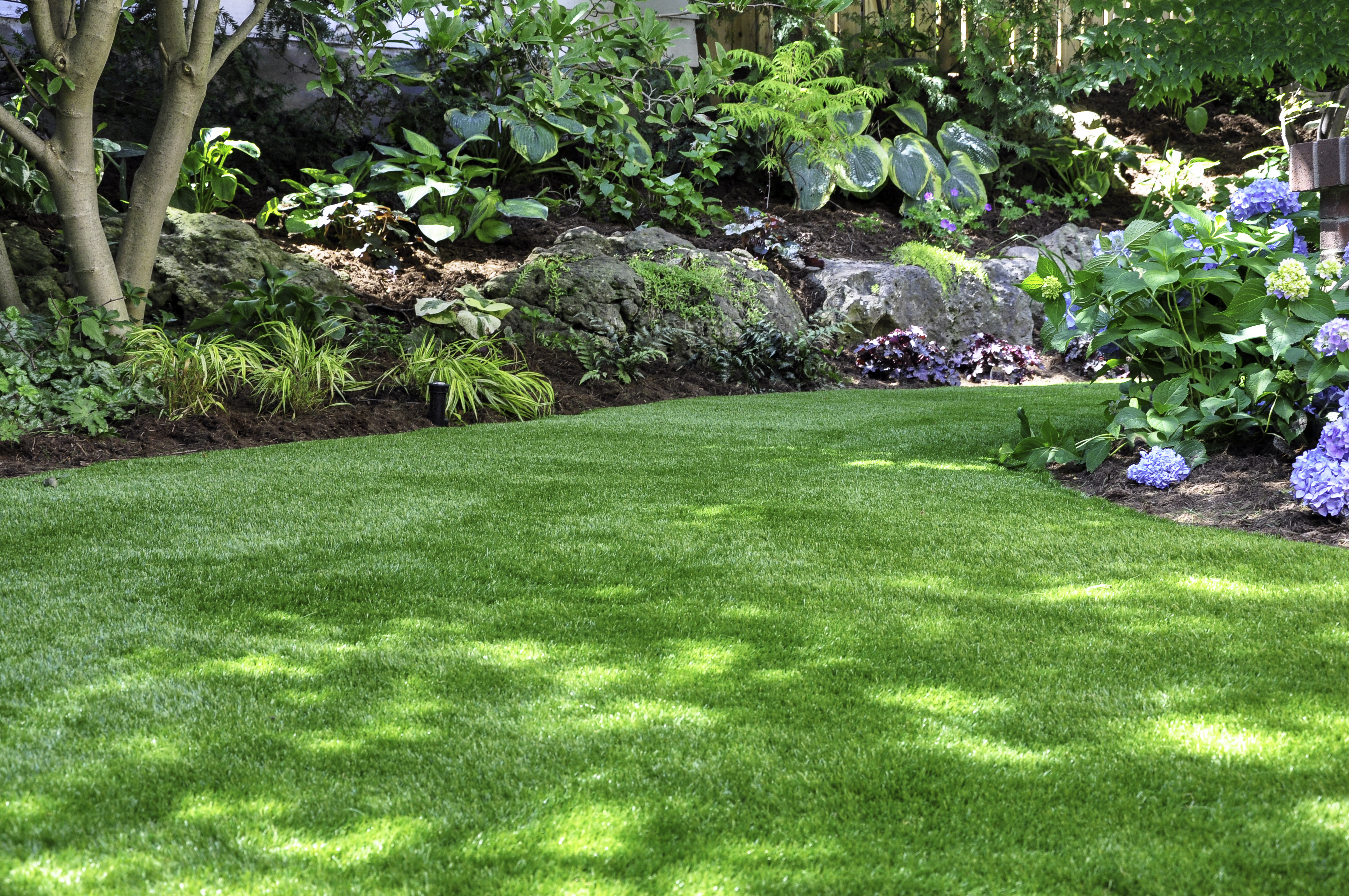 A lawn pro shared the best thing people can do for their lawns (Stock photo)