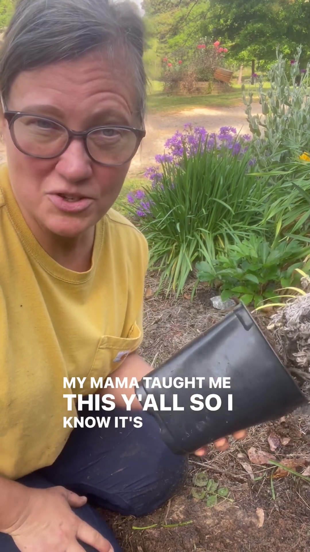 A pro gardener shared her trick to save rooted plants