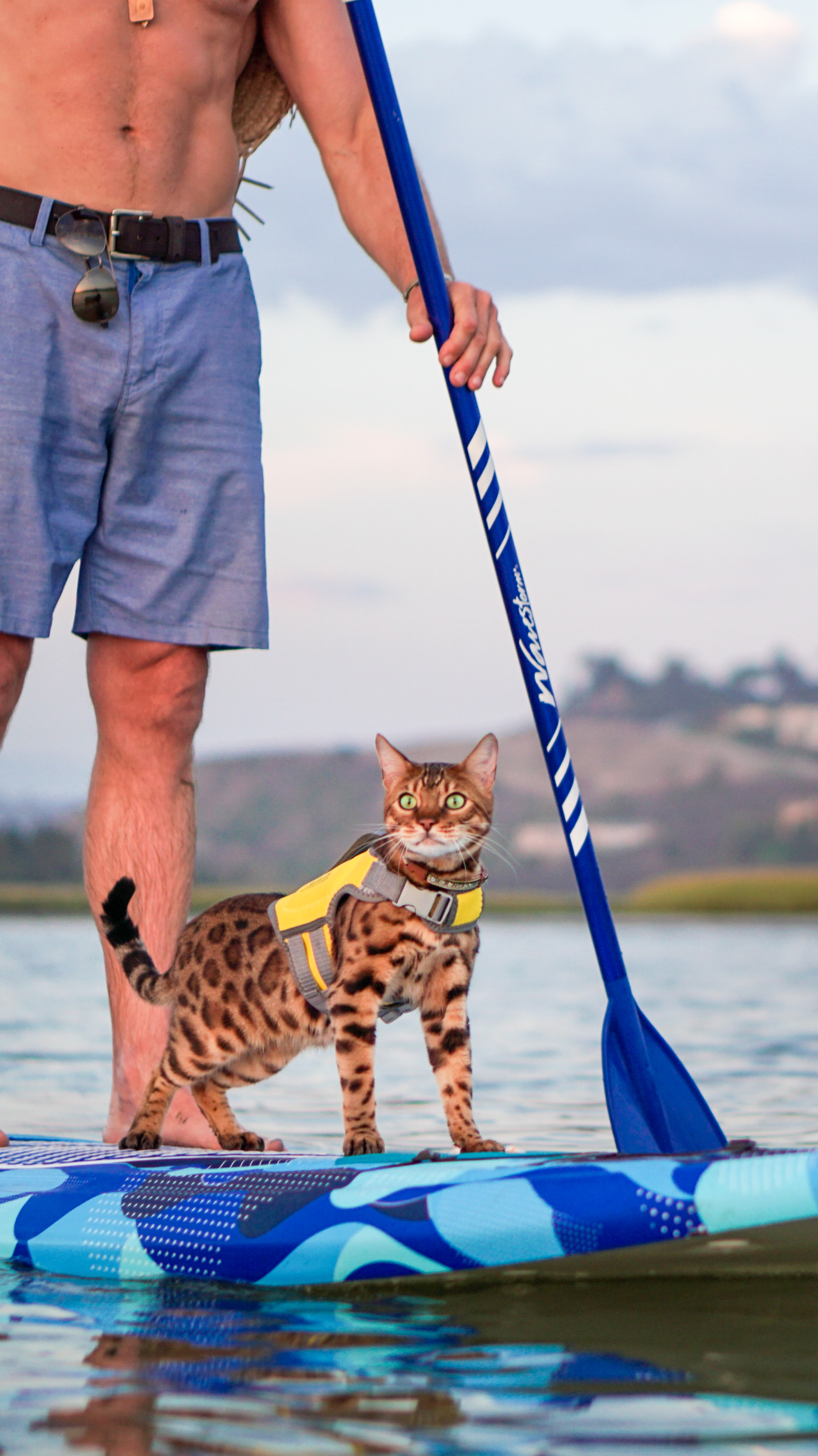 Maverick has been known for surfing and his active lifestyle on the internet