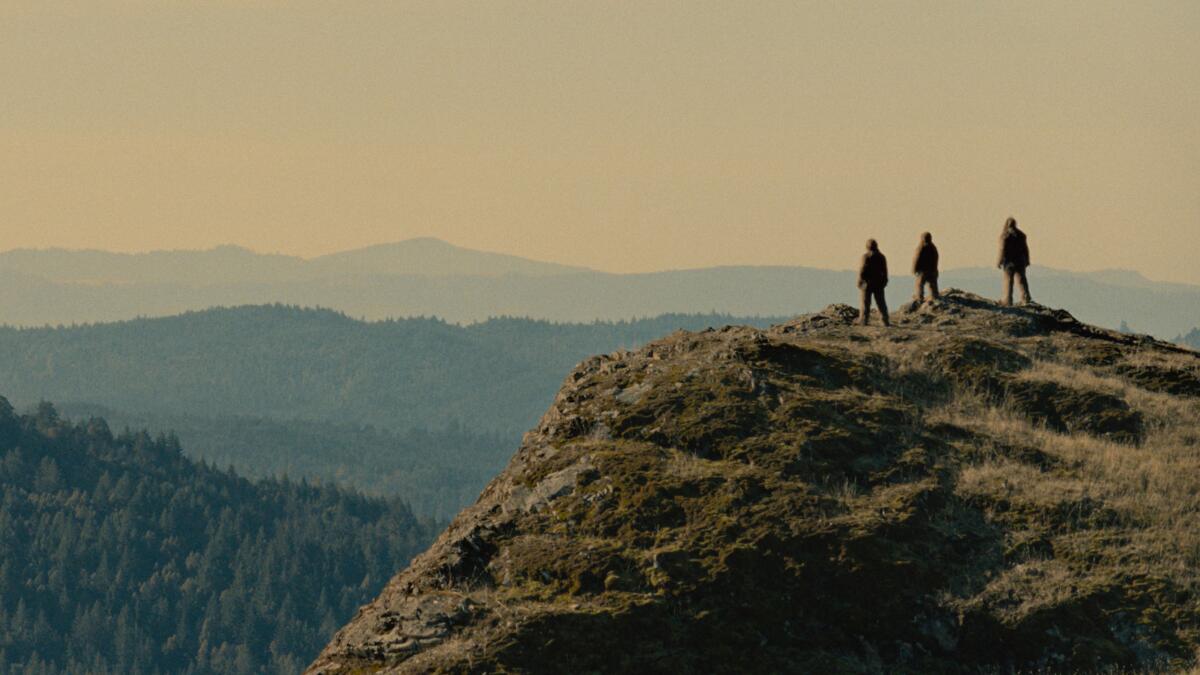 Sasquatches look over a valley.