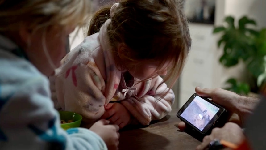 Two young girls watching cows on a phone screen.