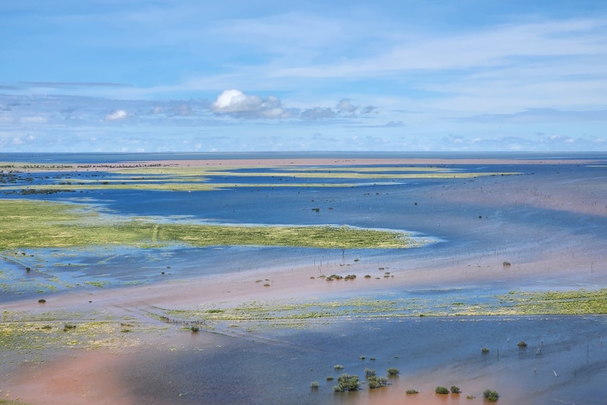 an aerial view of bright blue channels of water in the outback