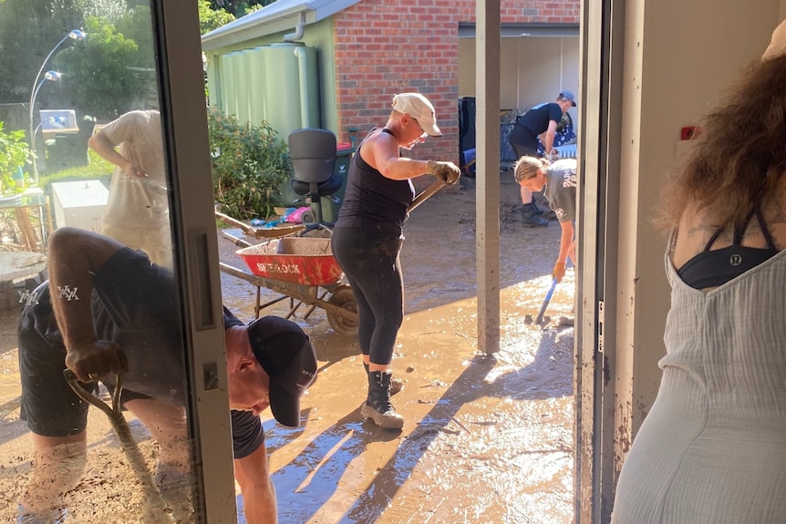 Women and men cleaning a house.