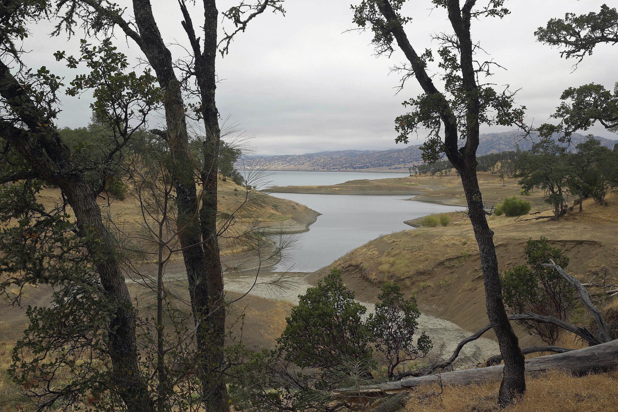  Trees frame a lake under cloudy skies with brown vegetation along the shoreline