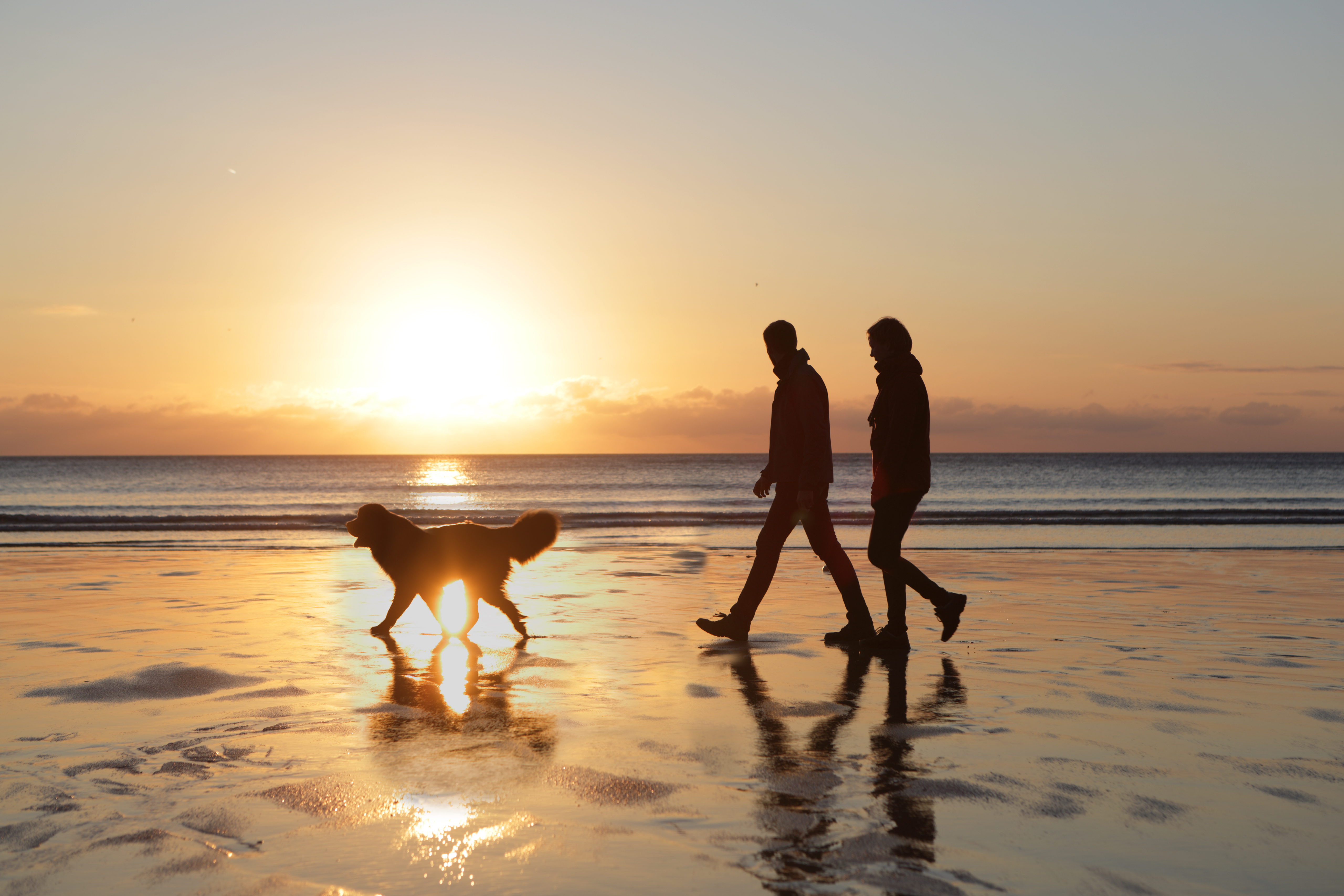 Or you could opt for a sunset walk along the beach